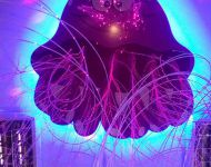 IMG 20161221 170156