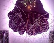 IMG 20161221 170150