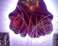 IMG 20161221 170148