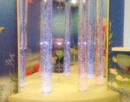IMG 20170913 180928 (Copy)
